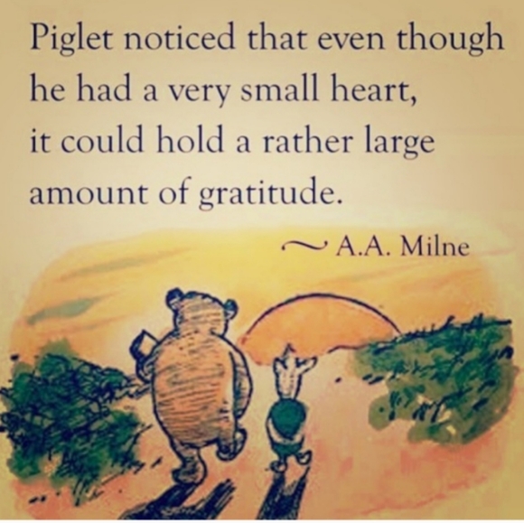 ⚜️ Vintage PRISTINE Wool Gabardine Stirrups JH Collectible Pants WOOL SZ 10 - Picture 6 of 16